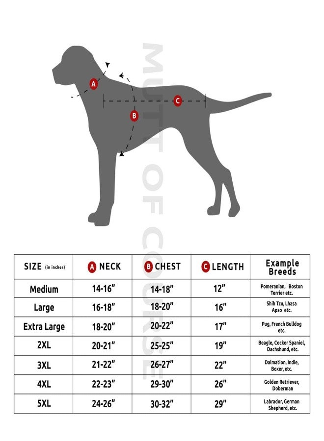 Mutt of Course جاكيت للكلاب من ماركة Mutt of Course Green Flap (مقاوم للماء والرياح) (اللون: أخضر) (محيط الرقبة: 19 بوصة | محيط الصدر: 21-22 بوصة | الطول: 17 بوصة) (مقاس كبير جدًا) - Image 3